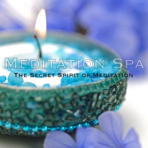 ดาวน์โหลดและฟังเพลง Meditation: Sleep พร้อมเนื้อเพลงจาก Meditation Spa
