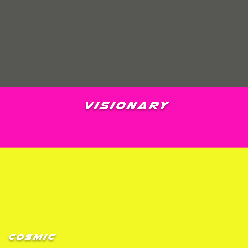 visionary
