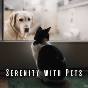 Serenity with Pets: Lofi Melodies for Tranquil Pet Time