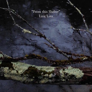 Lisa/Liza的專輯From This Shelter