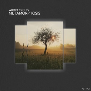 Audio Cycles的专辑Metamorphosis