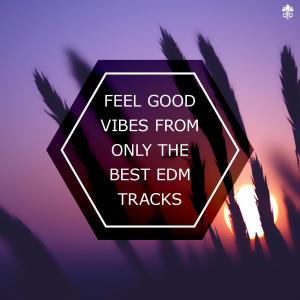 Album Feel Good Vibes From Only The Best EDM Tracks oleh Dripice