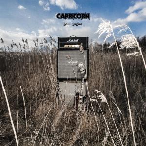 ดาวน์โหลดและฟังเพลง Wildfire พร้อมเนื้อเพลงจาก Capricorn