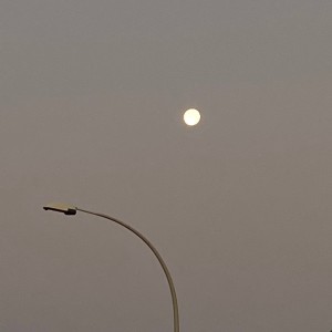 收聽vega g的momentos de desgaste歌詞歌曲