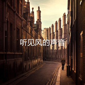 Listen to 听见风的声音 song with lyrics from 田兴恒