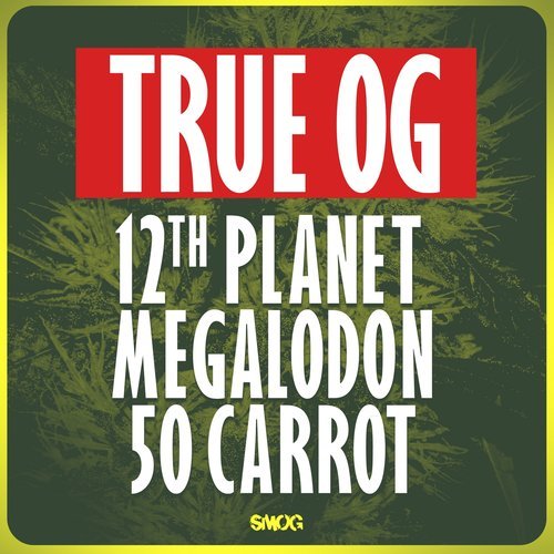 True OG (其他)