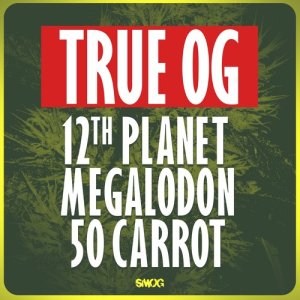 ดาวน์โหลดและฟังเพลง True OG (其他) พร้อมเนื้อเพลงจาก 12th Planet