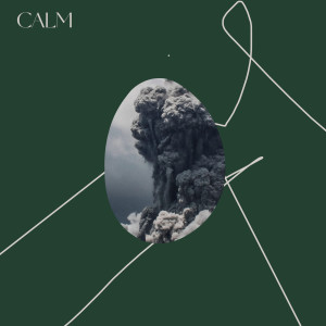 Album Calm (Explicit) from The Overstory