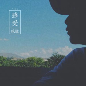 Listen to 感受 (伴奏) song with lyrics from 威猛