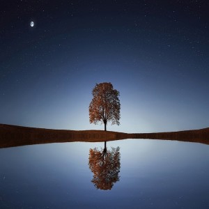 收聽Moses Music的That night歌詞歌曲