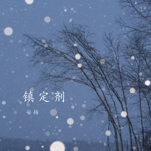 Album 镇定剂 from 安扬