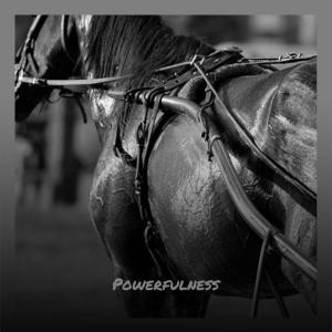 Dengarkan Powerfulness lagu dari Sani Vion dengan lirik