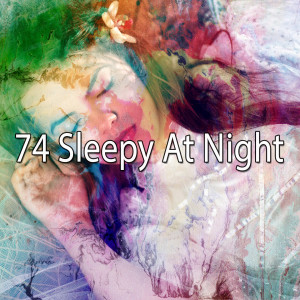 Sleep Sounds of Nature的專輯74 Sleepy at Night