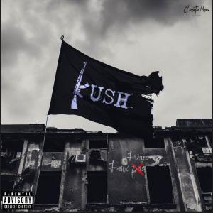 Album Faux frères (Explicit) from Kush