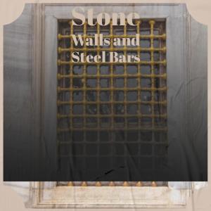 Album Stone Walls and Steel Bars from Various Artist