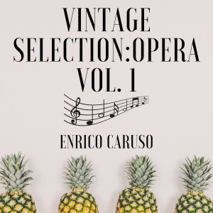 Vintage Selection: Opera, Vol. 1 (2021 Remastered)