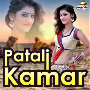 Listen to Pappi Ki Aave Yaad song with lyrics from Various Artists
