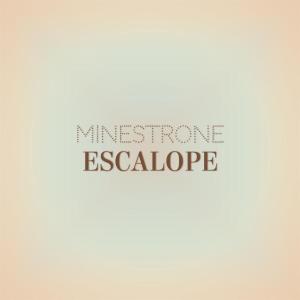 อัลบัม Minestrone Escalope ศิลปิน Various