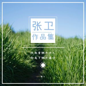 Listen to 机器铃 砍菜刀 song with lyrics from 张卫
