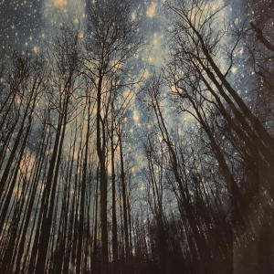 收聽Anthony Perez的Distortion Of Mind歌詞歌曲