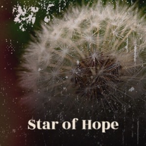 Album Star of Hope from Various