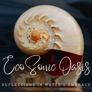 The Ocean Waves Sounds的專輯EcoSonic Oasis: Ambient Waterworld