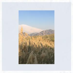Album Fugaz from Lemonboi