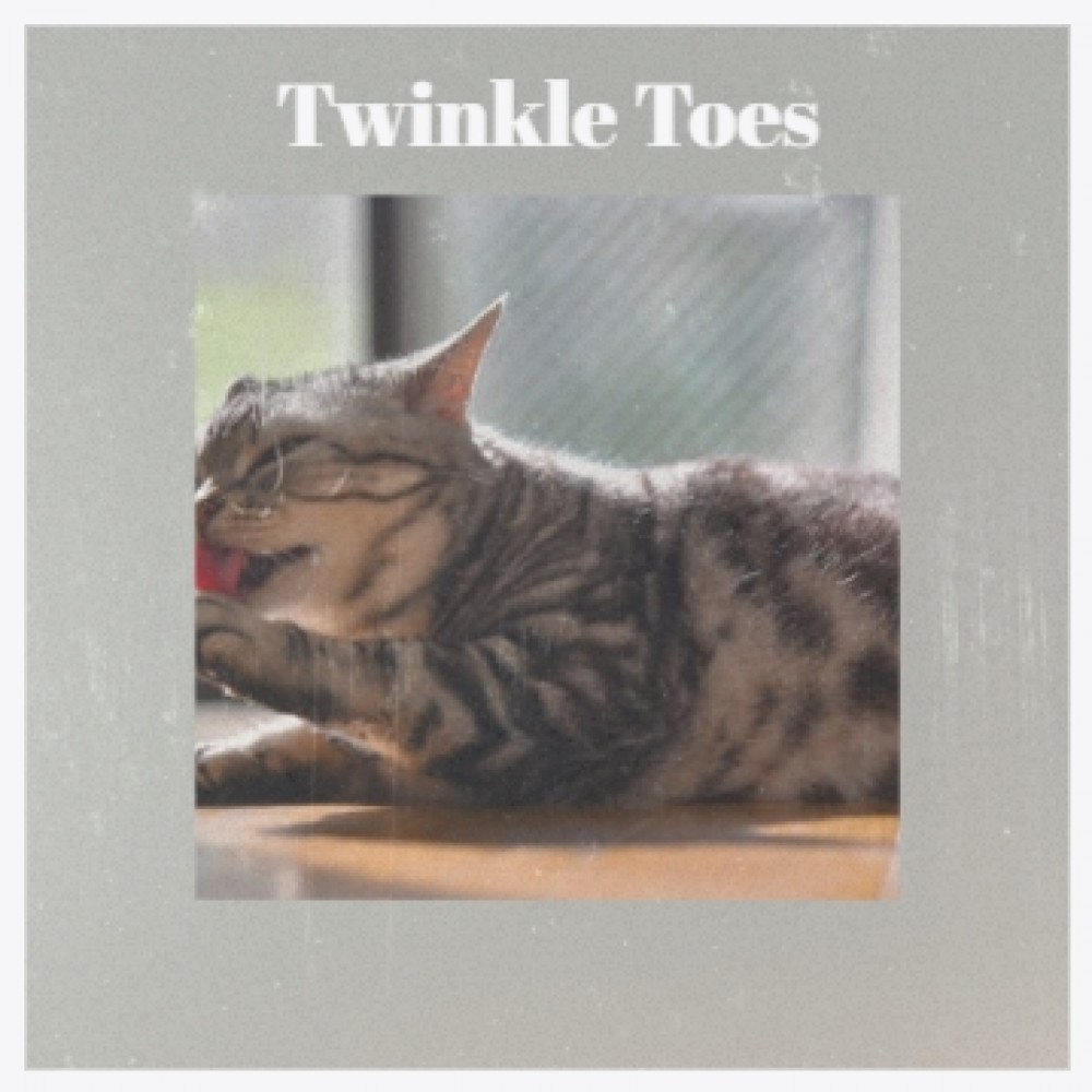 Twinkle Toes
