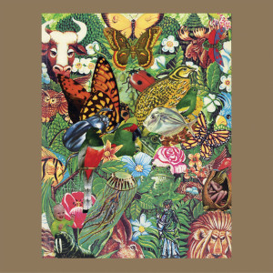 收聽The Skygreen Leopards的Butterfly Dance歌詞歌曲