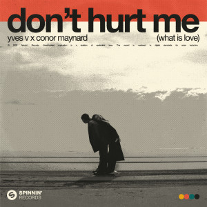 Don't Hurt Me (What Is Love) (Extended Mix)