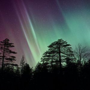 Album Presence Jazz from VJ Beats
