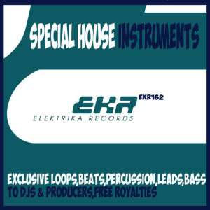 ดาวน์โหลดและฟังเพลง Special House Instruments Organic2 12 พร้อมเนื้อเพลงจาก South Killah