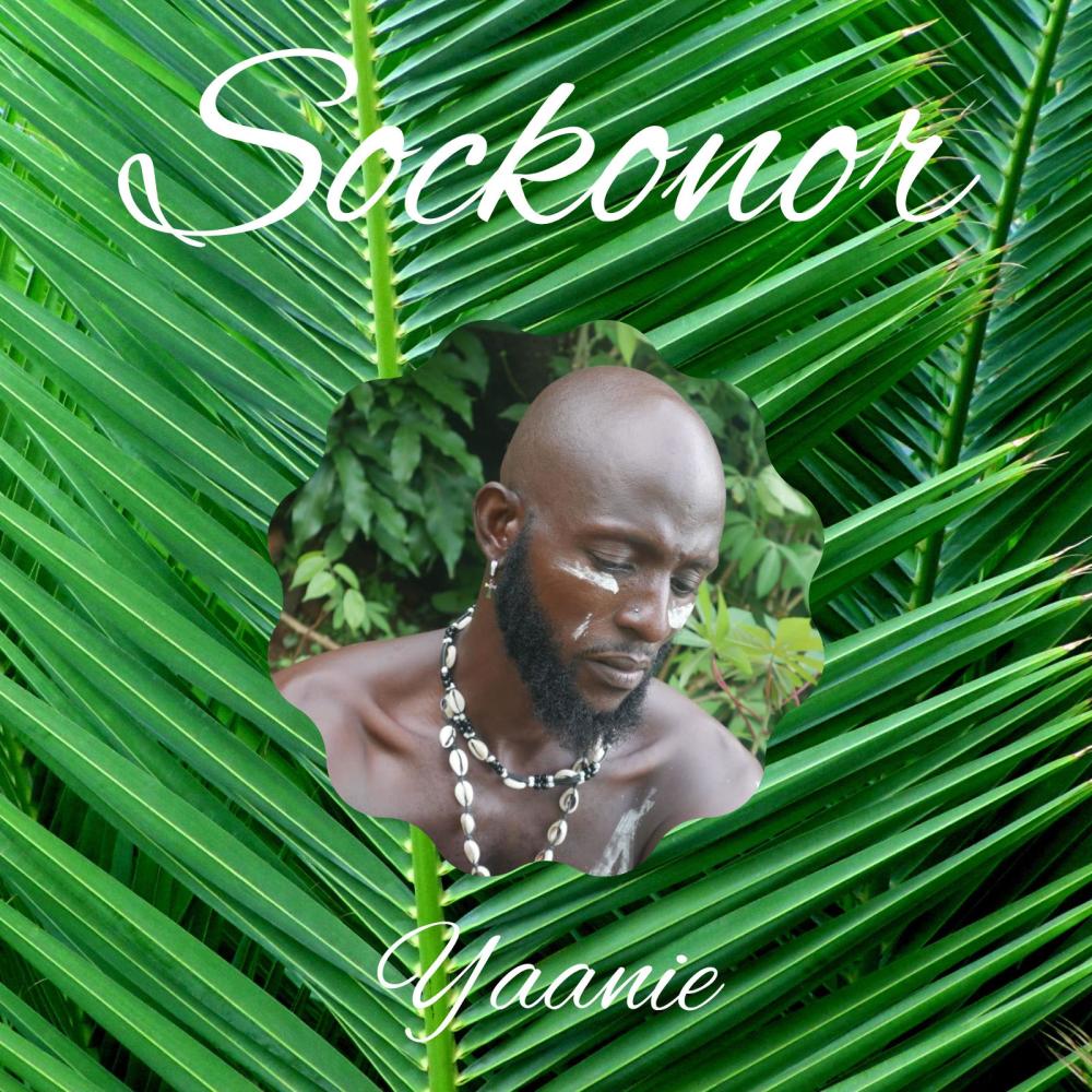 Sockonor