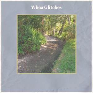 Album Whoa Glitches oleh Various