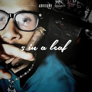 SwaveyPurpp的專輯5 in a Leaf (Explicit)