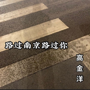 高金洋的專輯路過南京路過你