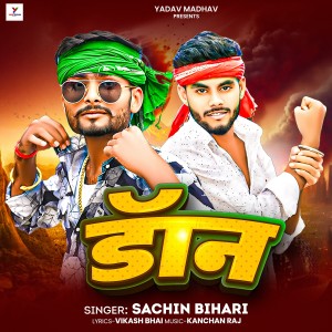 ดาวน์โหลดและฟังเพลง Don พร้อมเนื้อเพลงจาก Sachin Bihari