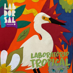 Laboratório Tropical的專輯Marcapasso