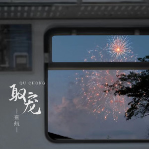 收听查航的取宠 (DJ楠哈哈版)歌词歌曲