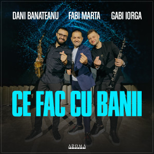 Listen to Ce fac cu banii song with lyrics from Dani Bănăteanu