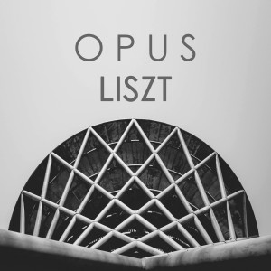 ดาวน์โหลดและฟังเพลง Liszt: Grandes Etudes de Paganini, S.141 - No.1 In G Minor พร้อมเนื้อเพลงจาก Daniil Trifonov
