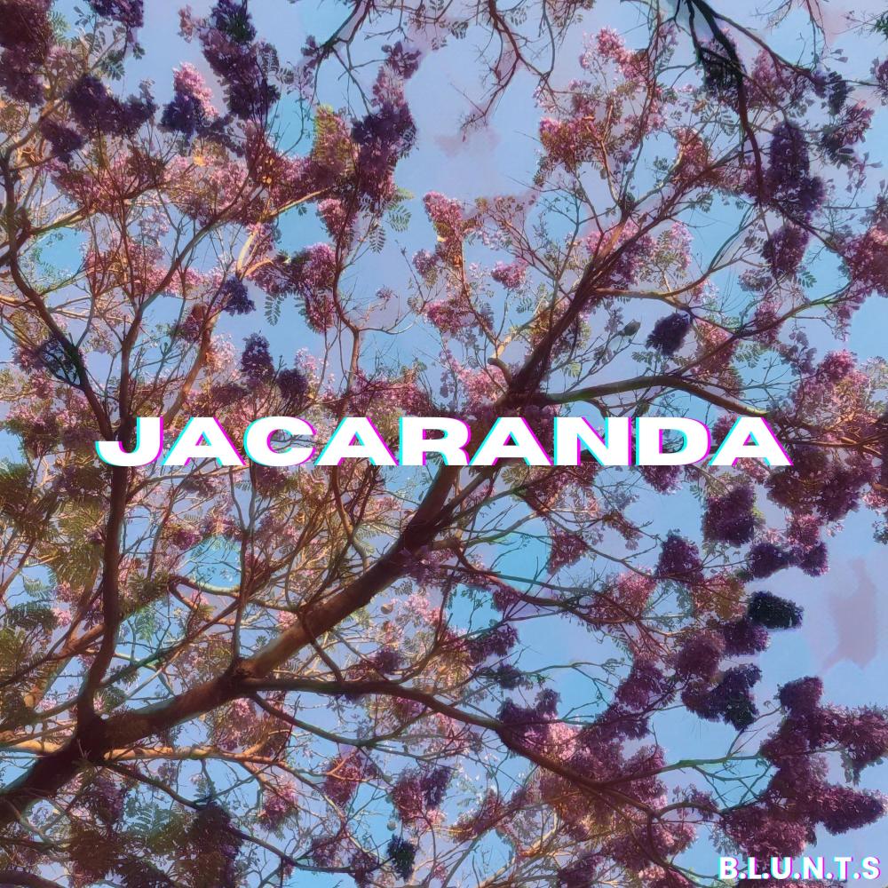Jacaranda