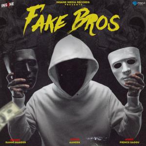 Rammi Mander的專輯Fake Bros