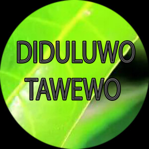 Listen to DIDULUWO TAWEWO song with lyrics from MDV