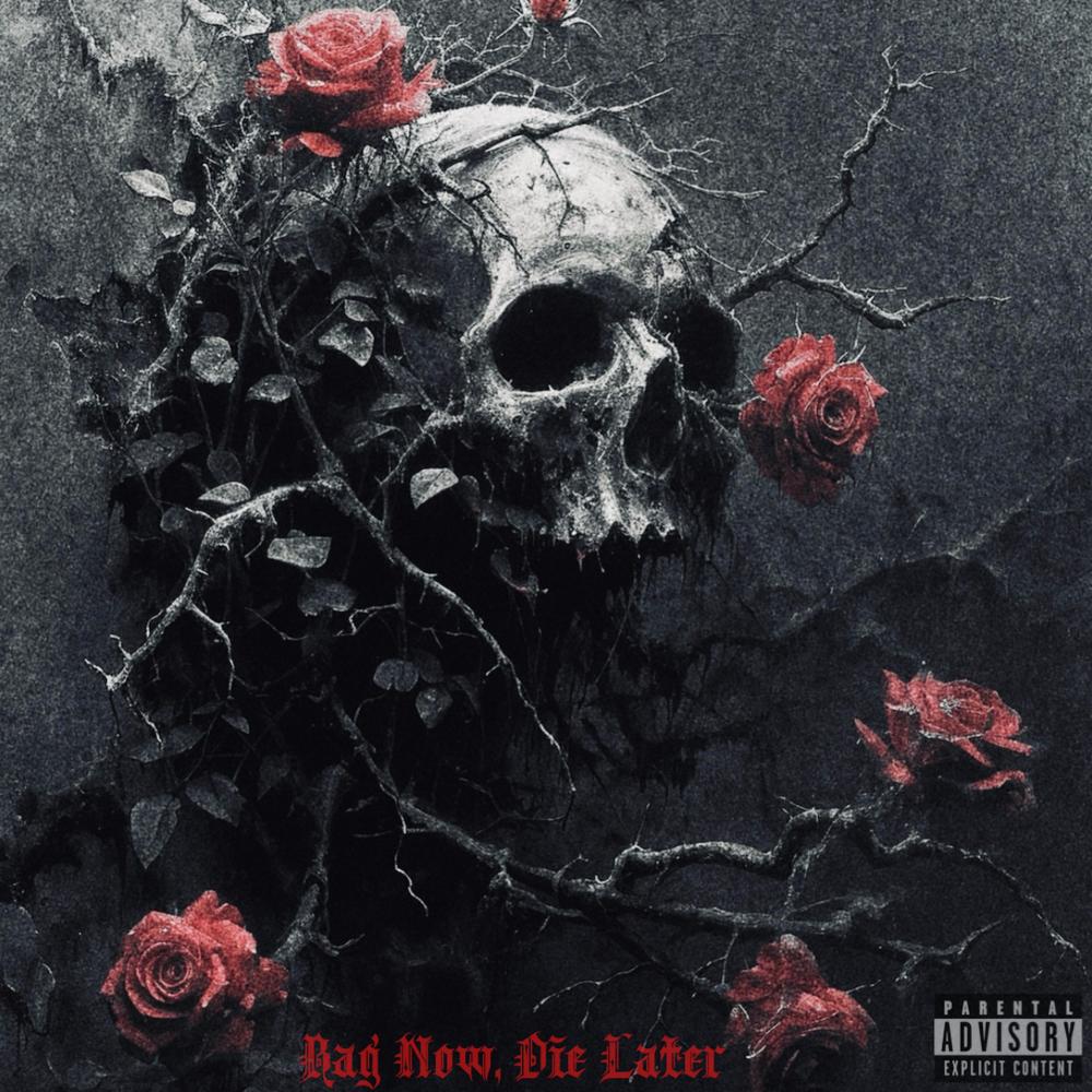 Questions (feat. Braveaux) (Explicit)