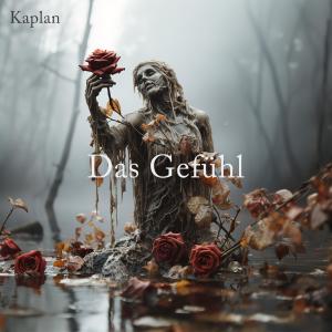 ดาวน์โหลดและฟังเพลง Das Gefühl พร้อมเนื้อเพลงจาก Kaplan