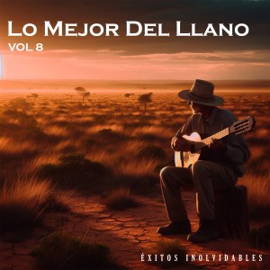 收聽Tirso Delgado的Palomita Mensajera歌詞歌曲