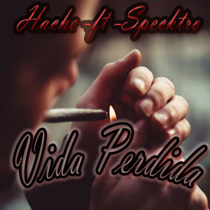 Listen to Vida Perdida (Explicit) song with lyrics from Hache