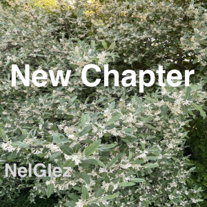 Dengarkan lagu New Chapter nyanyian NelGlez dengan lirik
