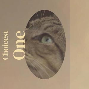 Listen to Choicest One song with lyrics from Jordy Birten
